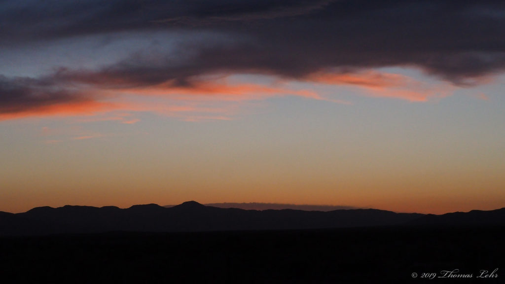 moving at the speed of itself, unfettered, —Bob Hicok