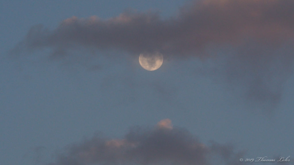 Ballasted all with ignorance and error,