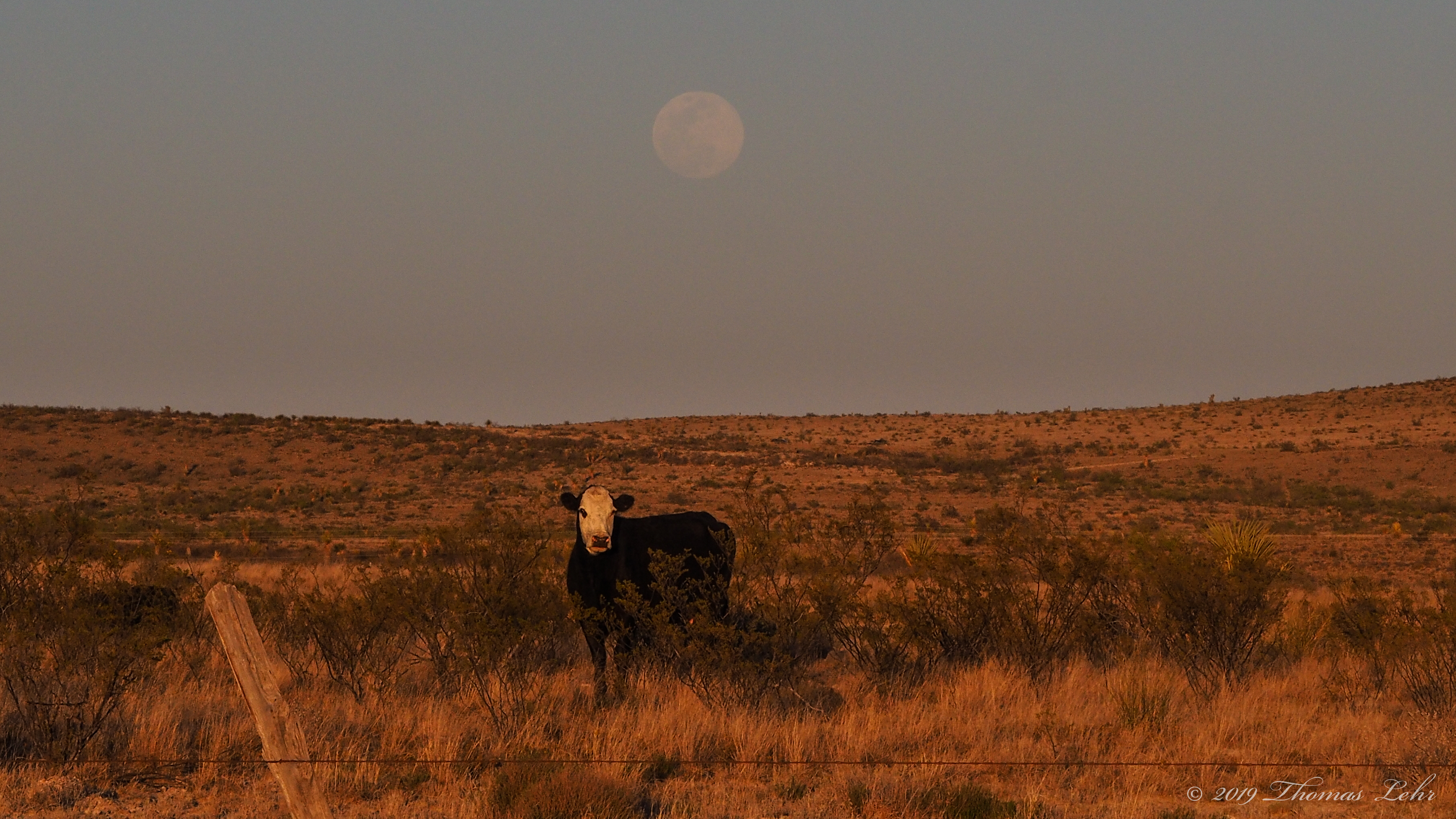 in school, they should have taught us beauty