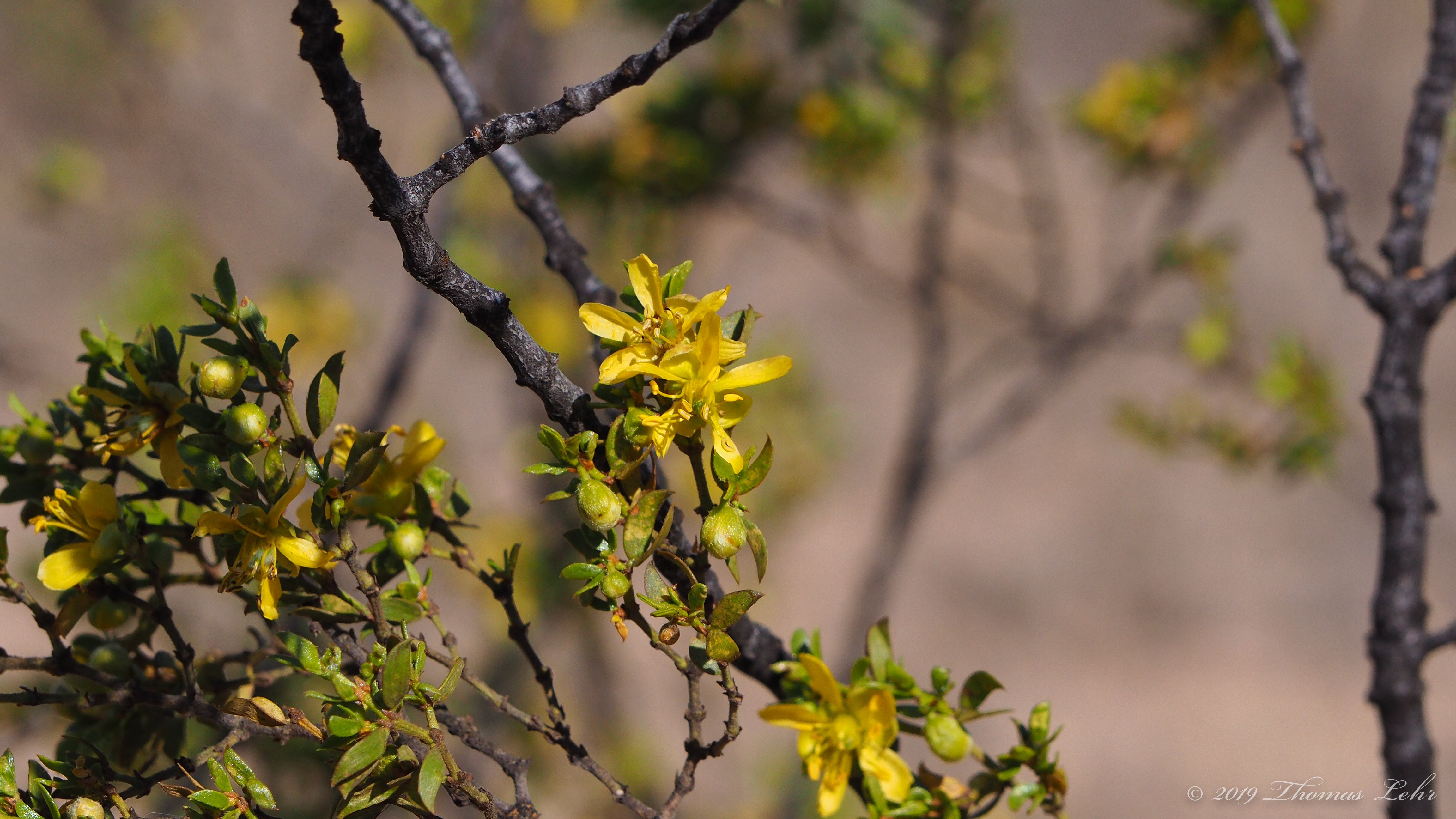 the desolate air between us is no match