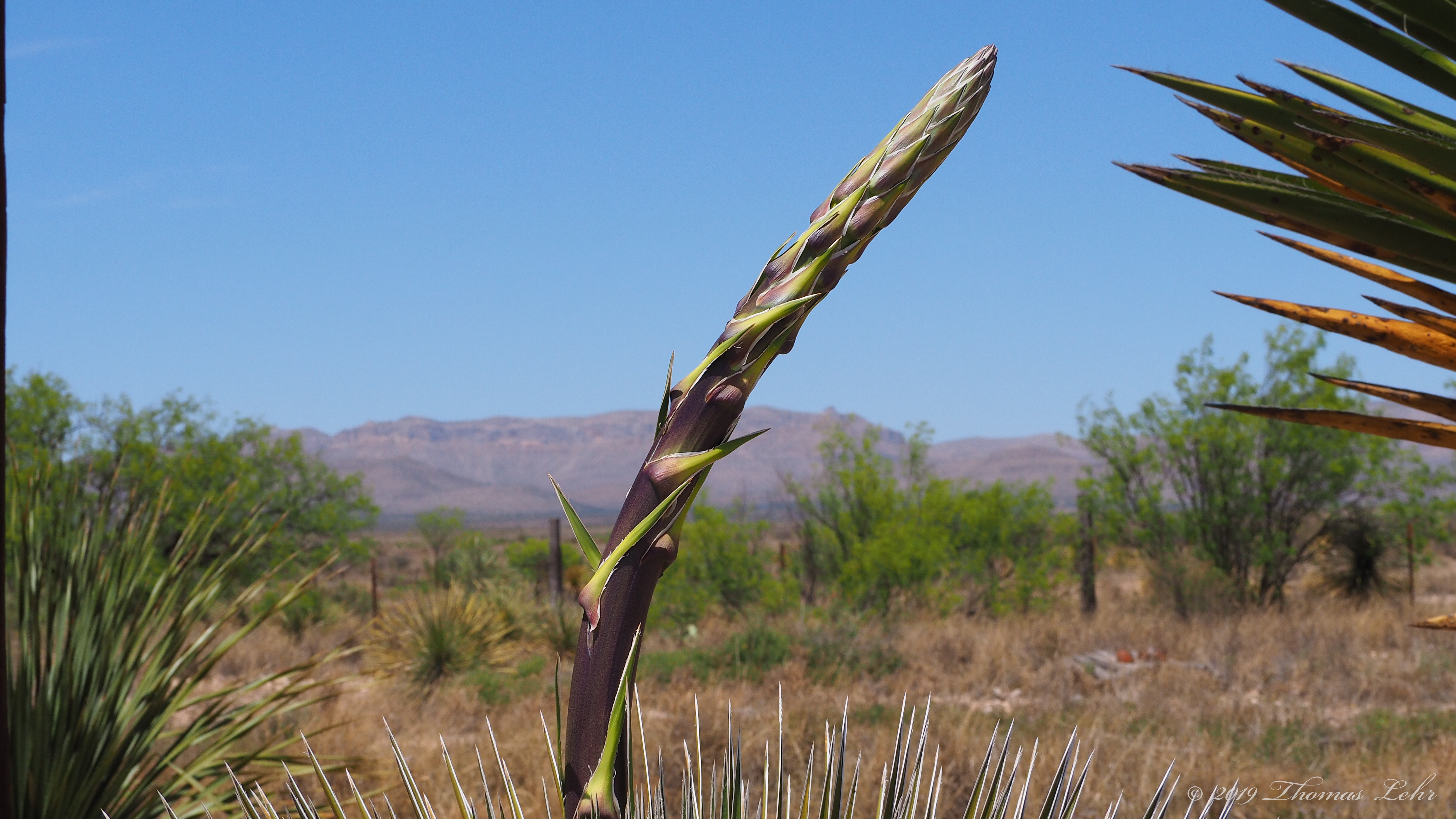 The air is fresh, smelling of wood.
