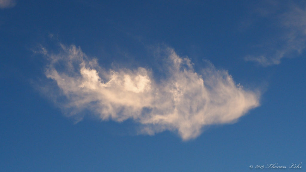 light cold & strange—