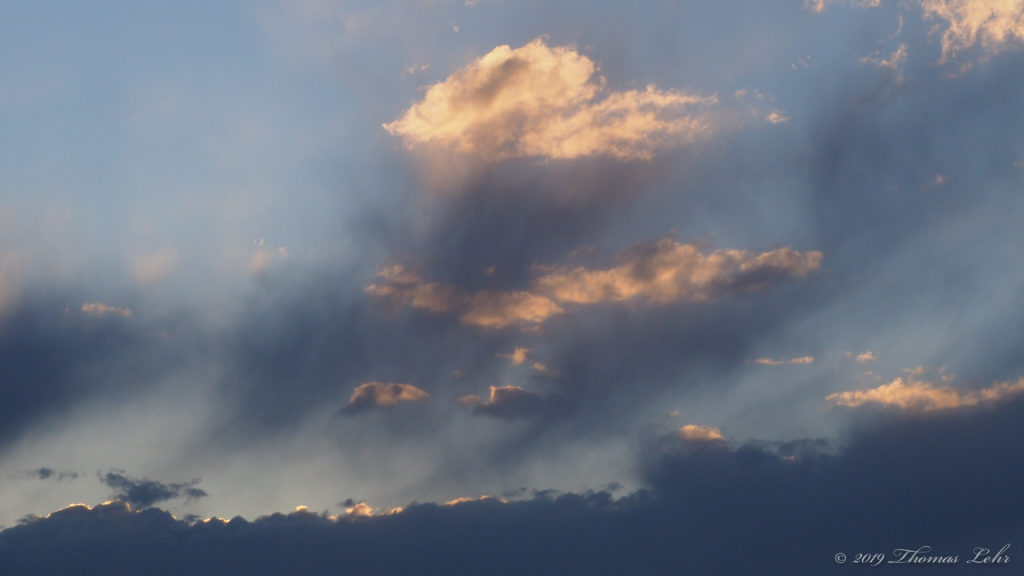 & when we opened our beaked mouths