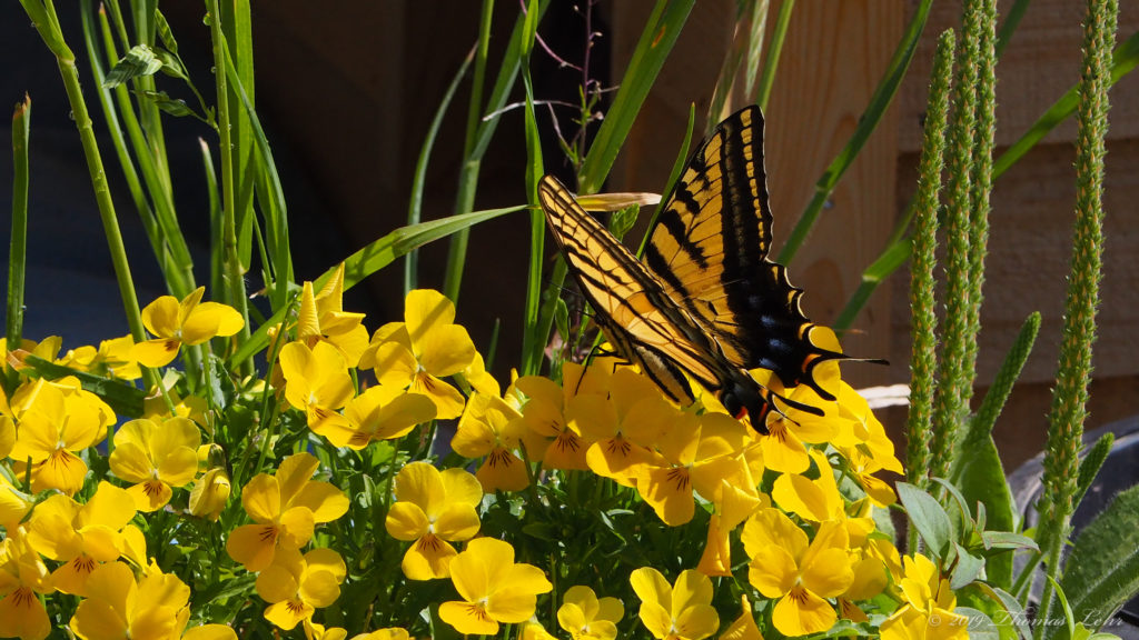 when the news about time is that each day