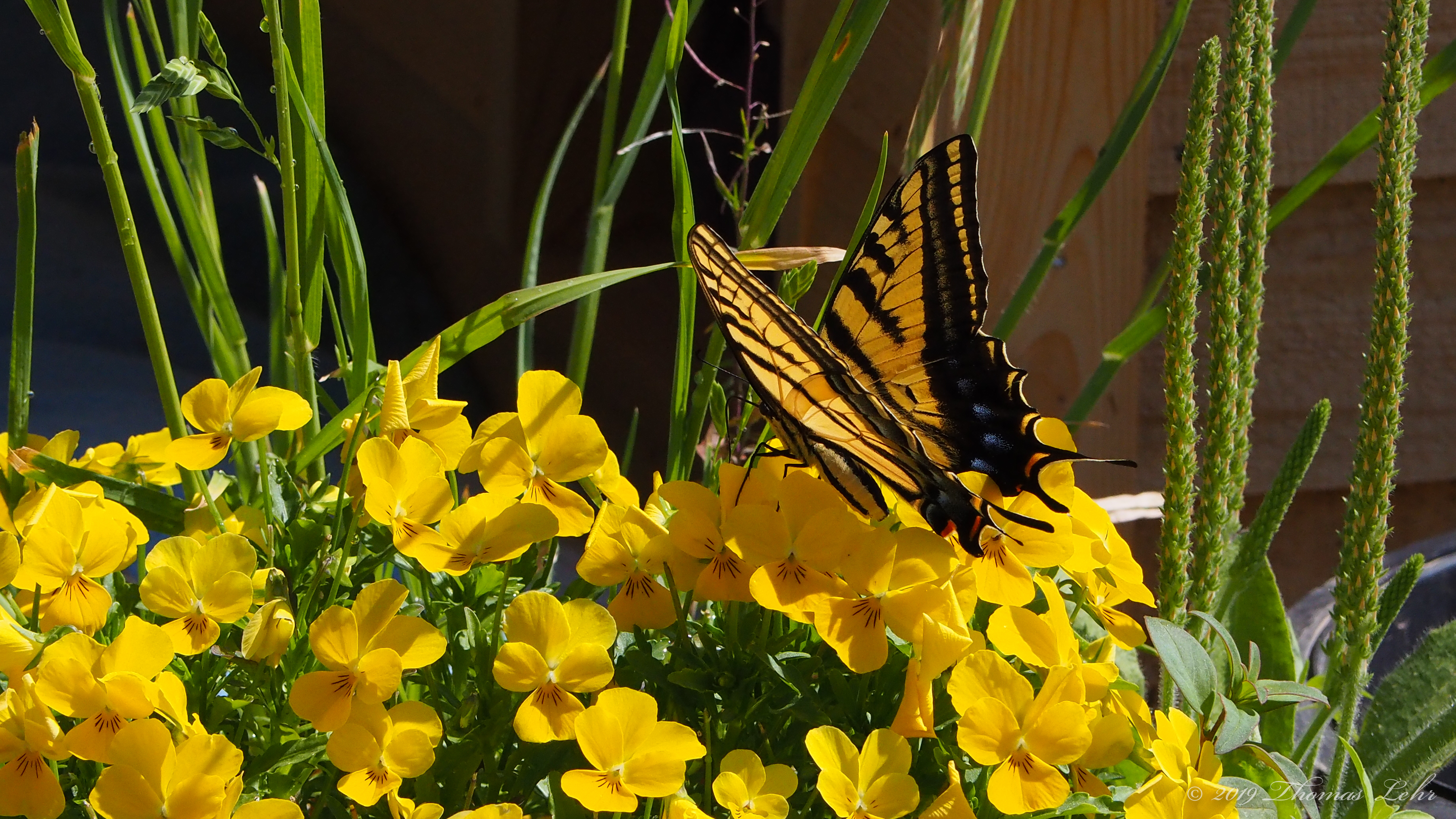 Now in the blessed days of more and less