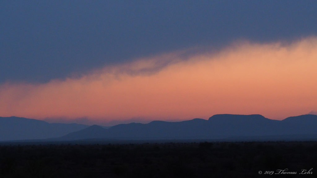 as I walk out through the early garden —W. S. Merwin