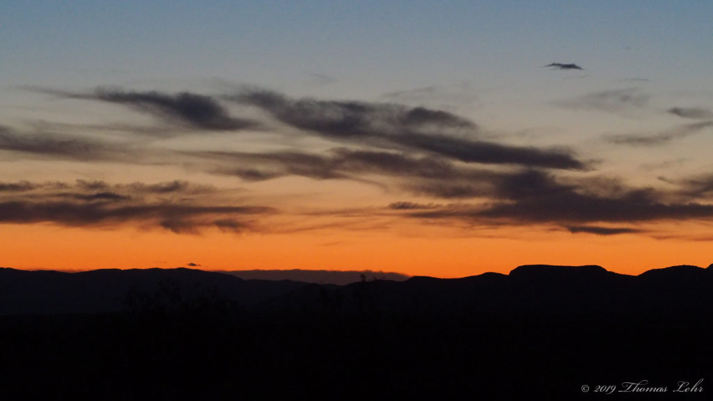 some of them not human. —Aracelis Girmay