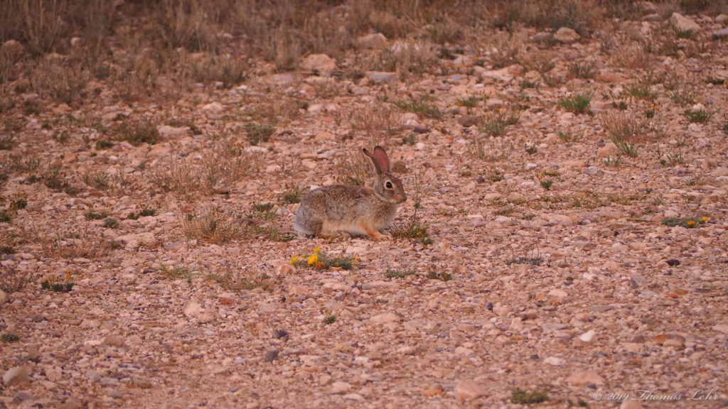 You walk too far, you walk away —Bruce Springsteen