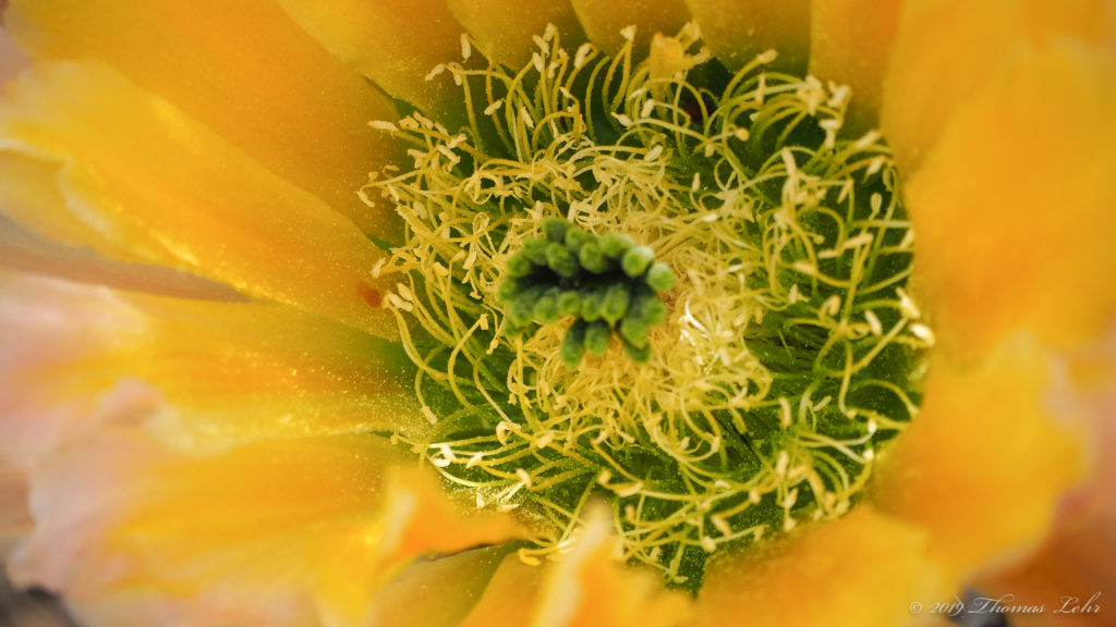 of ancient Greco-Syrian magicians—