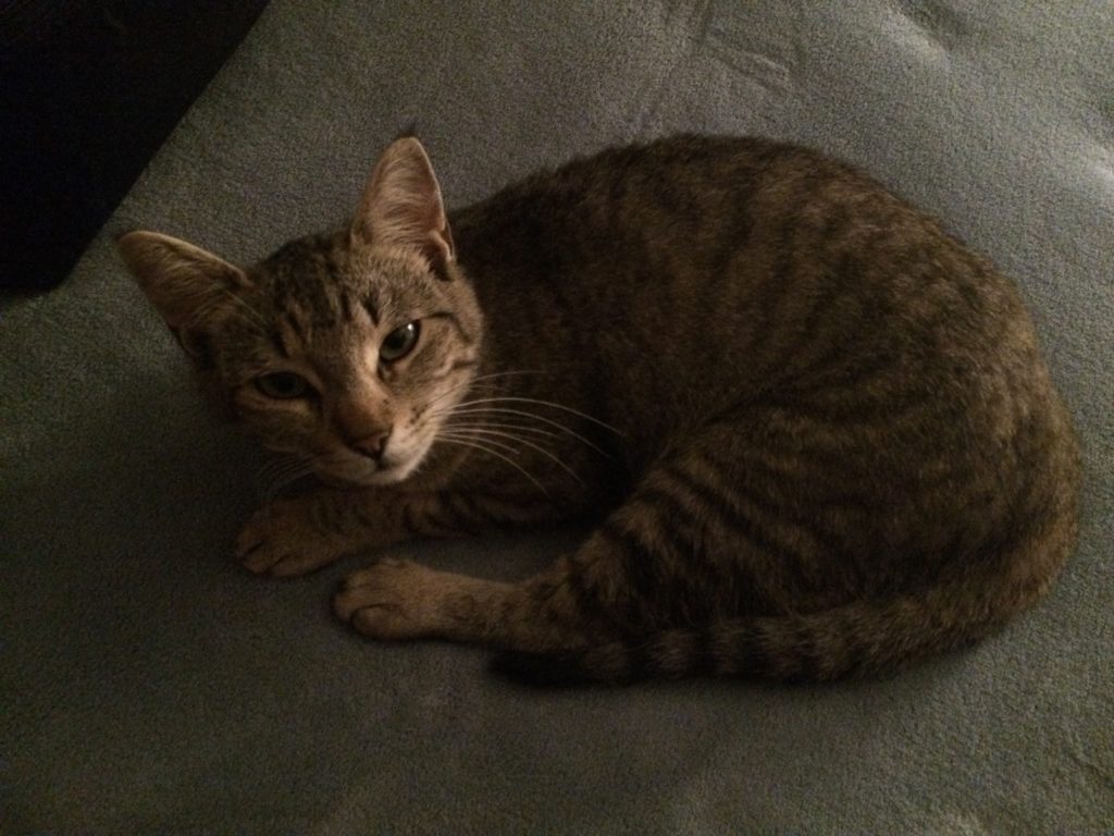 I woke up and found myself —James Wright