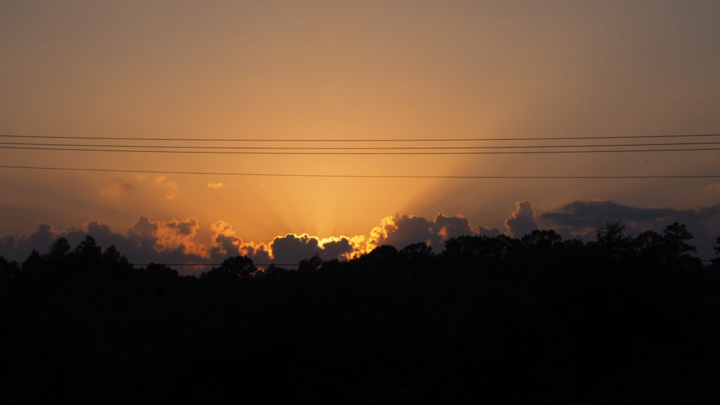 toward the most attractive siderail
—Heather Christle