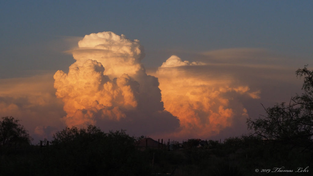 you lean out, releasing