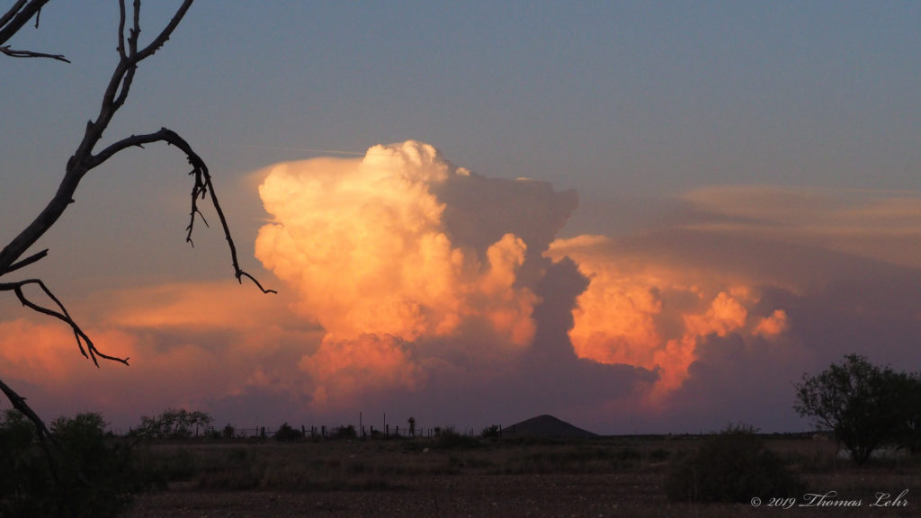 thought balloons. —Dana Levin