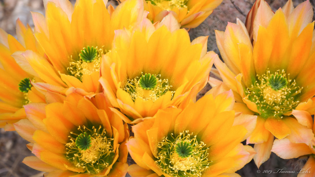 an unseen precipitation