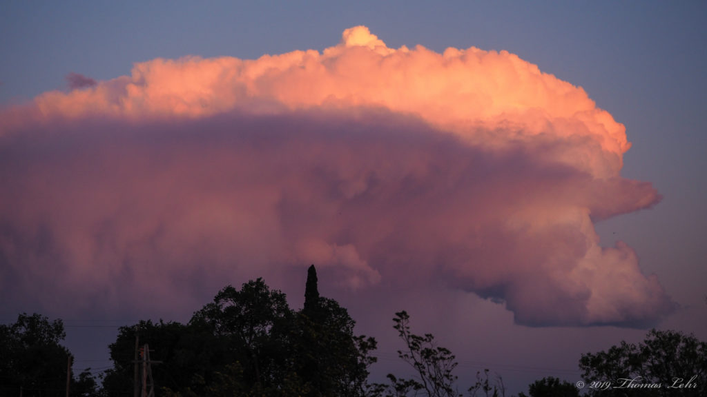 has lost his falcon. He has heard that falcons are like memory, they