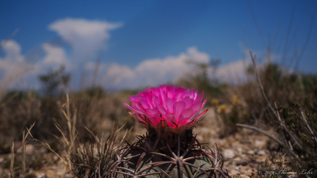 taking them in a place hidden and wide,