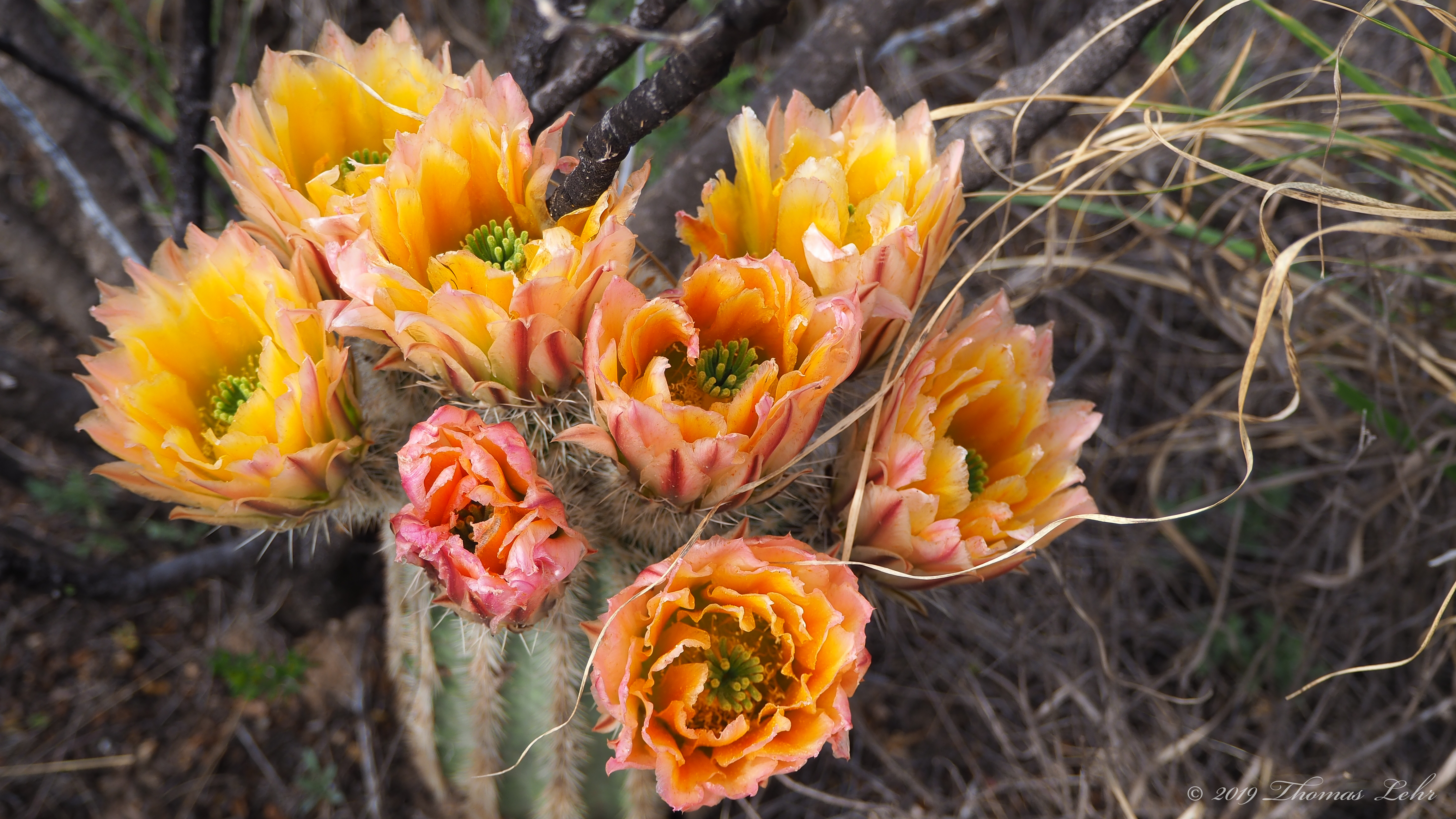 I may be looking at the set of boulders