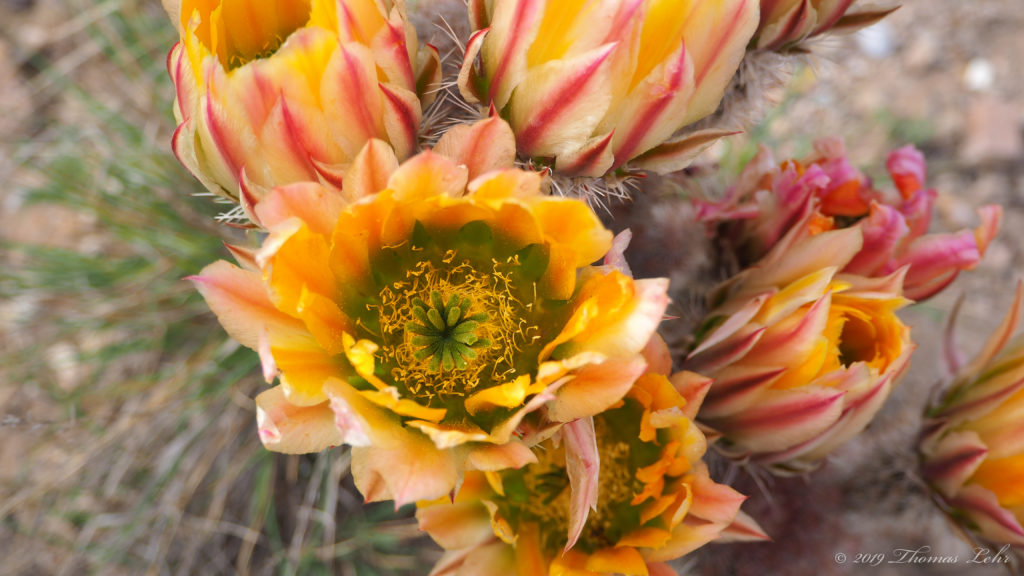 You are near or you are far,