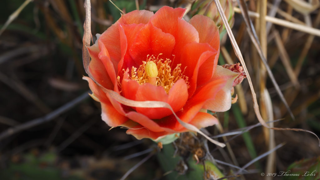 depending on the accuracy of the words I have chosen.