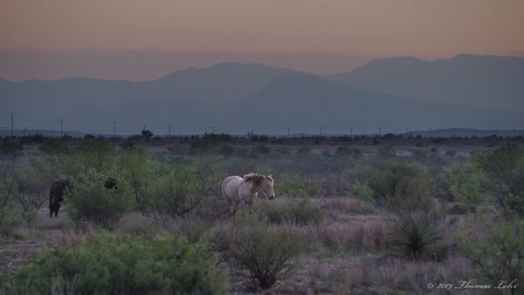 the intimate and the conventional. The gray cluster