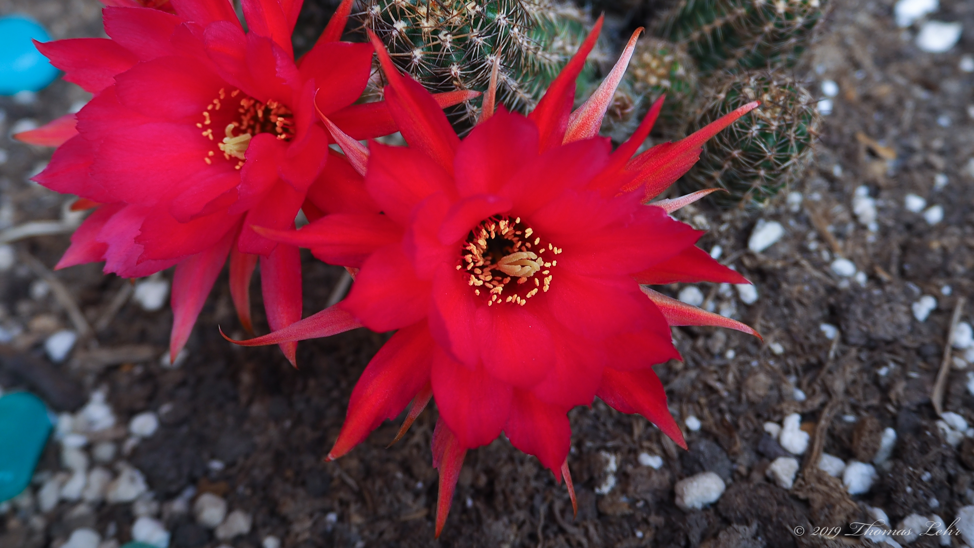 I call it the provinces.