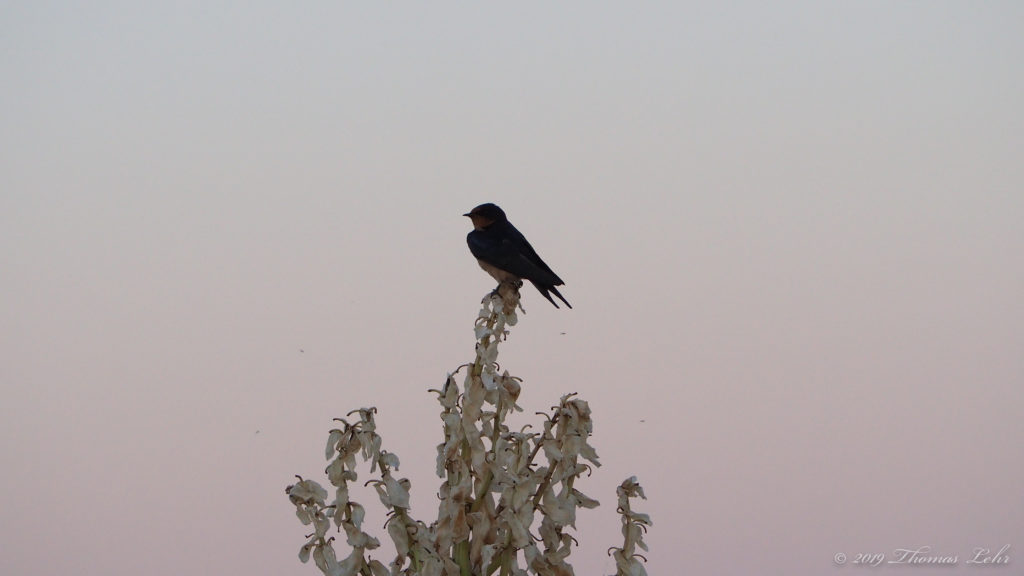 this distance from people. —Jack Gilbert
