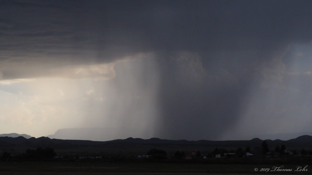 rain. I stood where the car had been —Tess Gallagher
