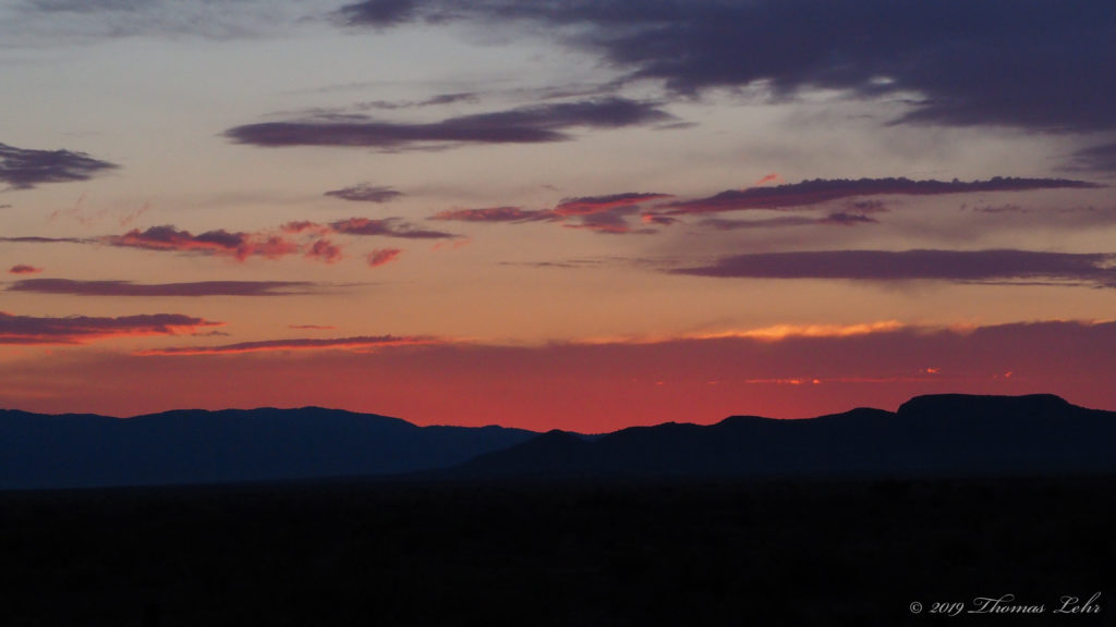 turned out to be a color of the sky. —Tony Hoagland
