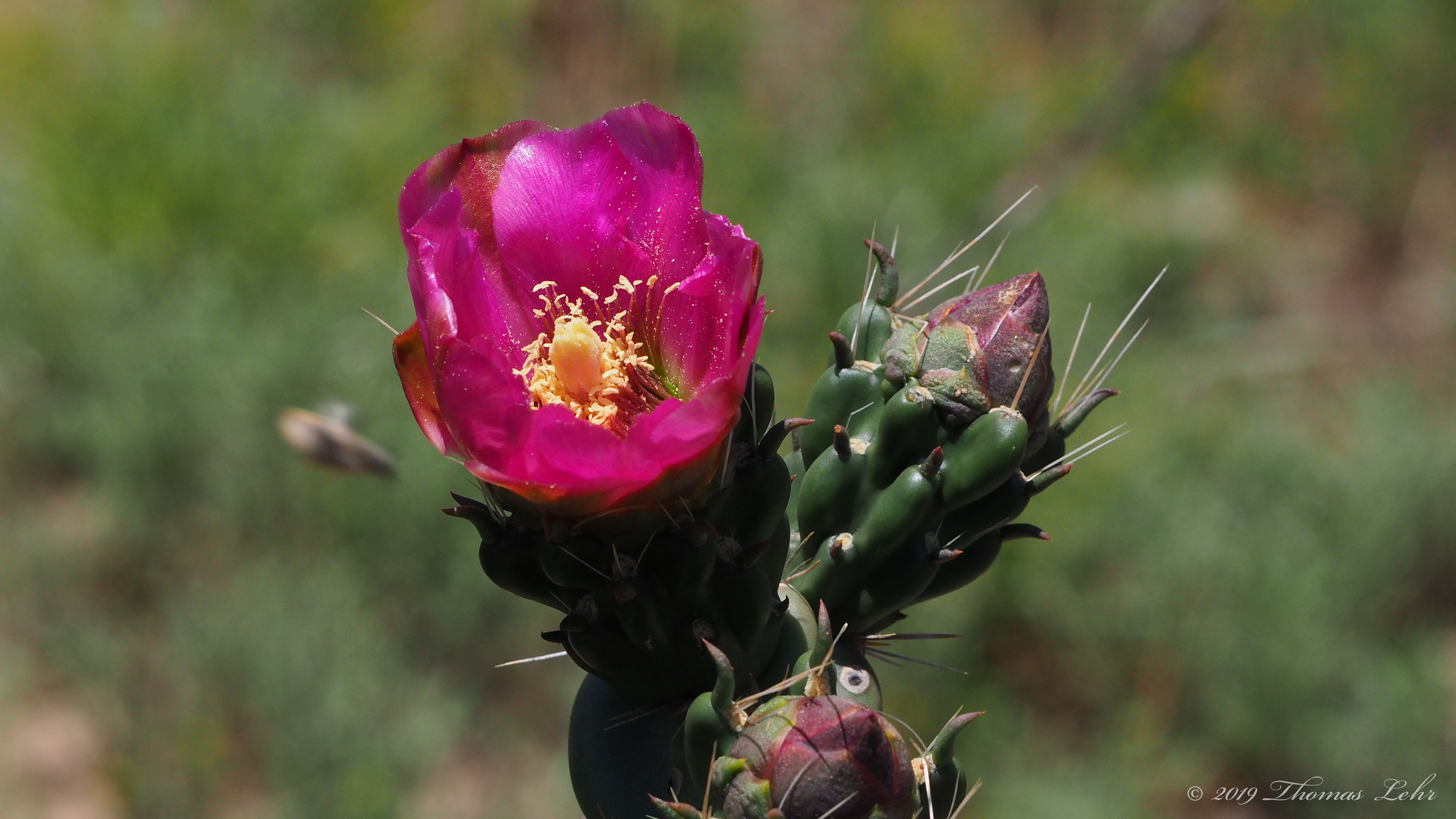 Feelings: / oh, I have those; they