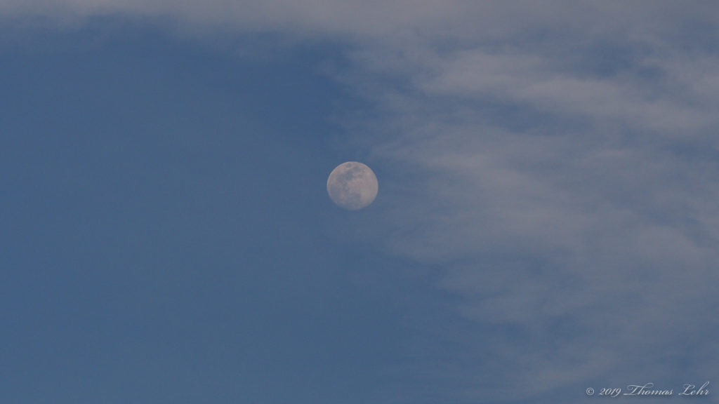 Stringing his final bow on the battlefield,