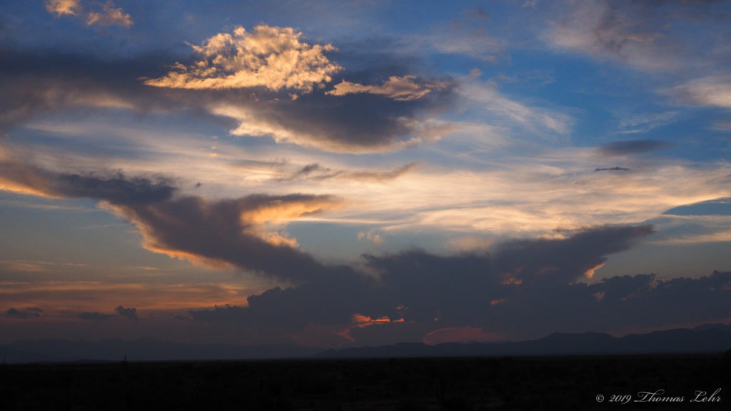 Lit bareback out of the barn. —Ansel Elkins