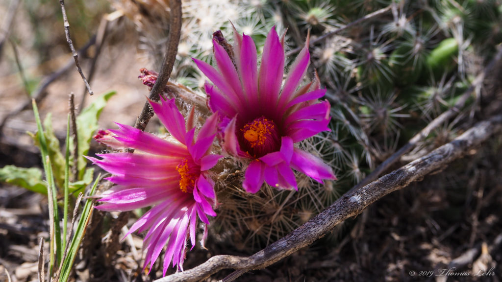 What belongs, what goes, and which way. Did I once