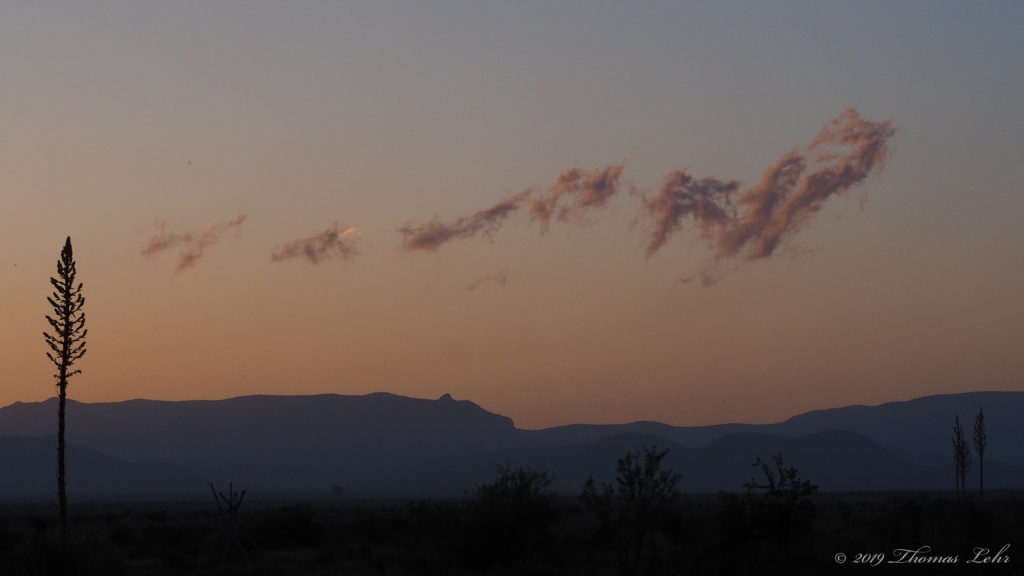 path we only ever take, —Brenda Shaughnessy