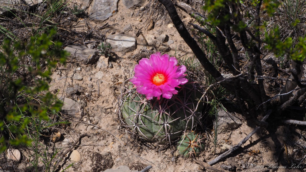 how should tasting touching hearing seeing