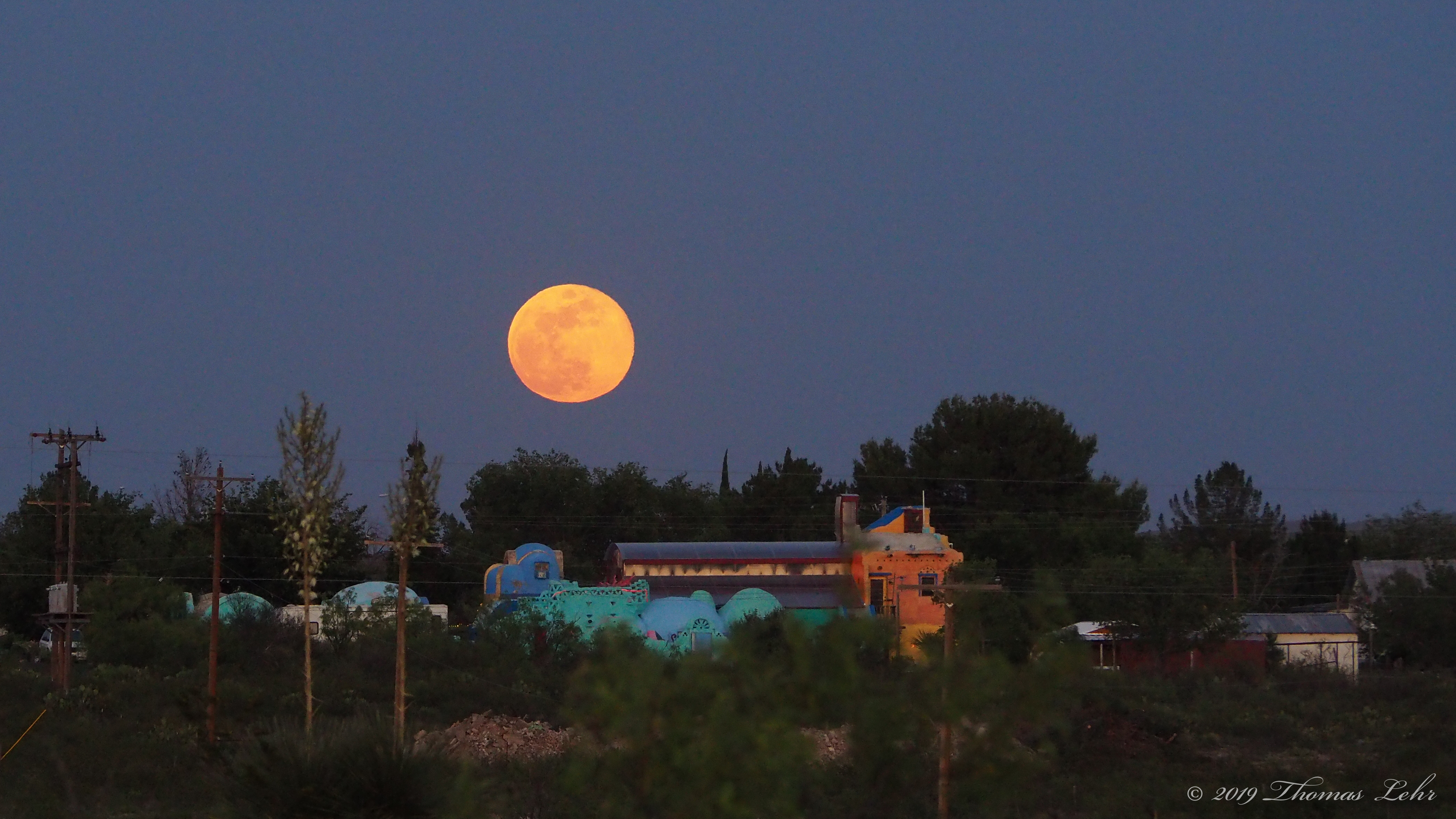 (i who have died am alive again today,