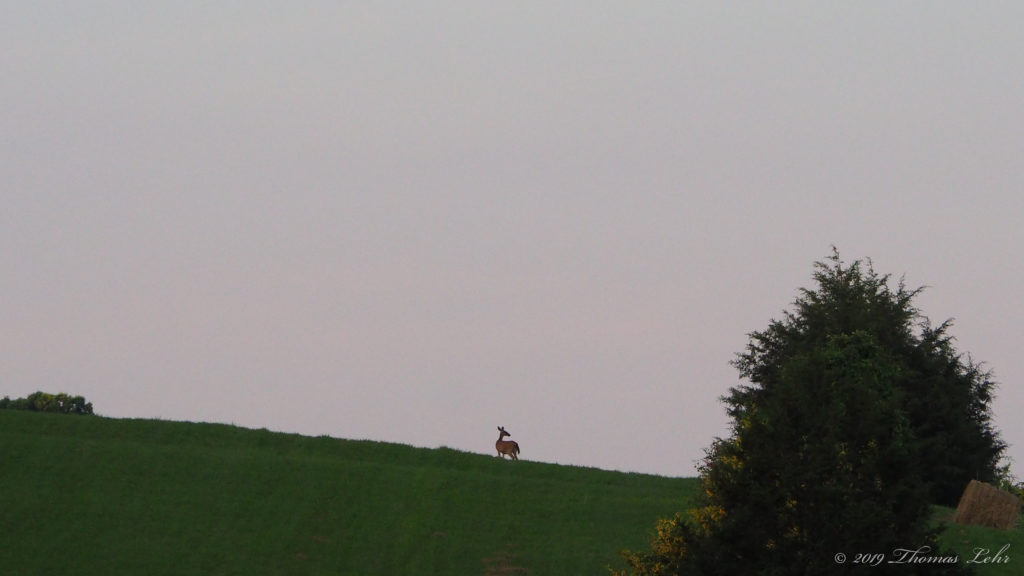 I could keep an eye on the weather,