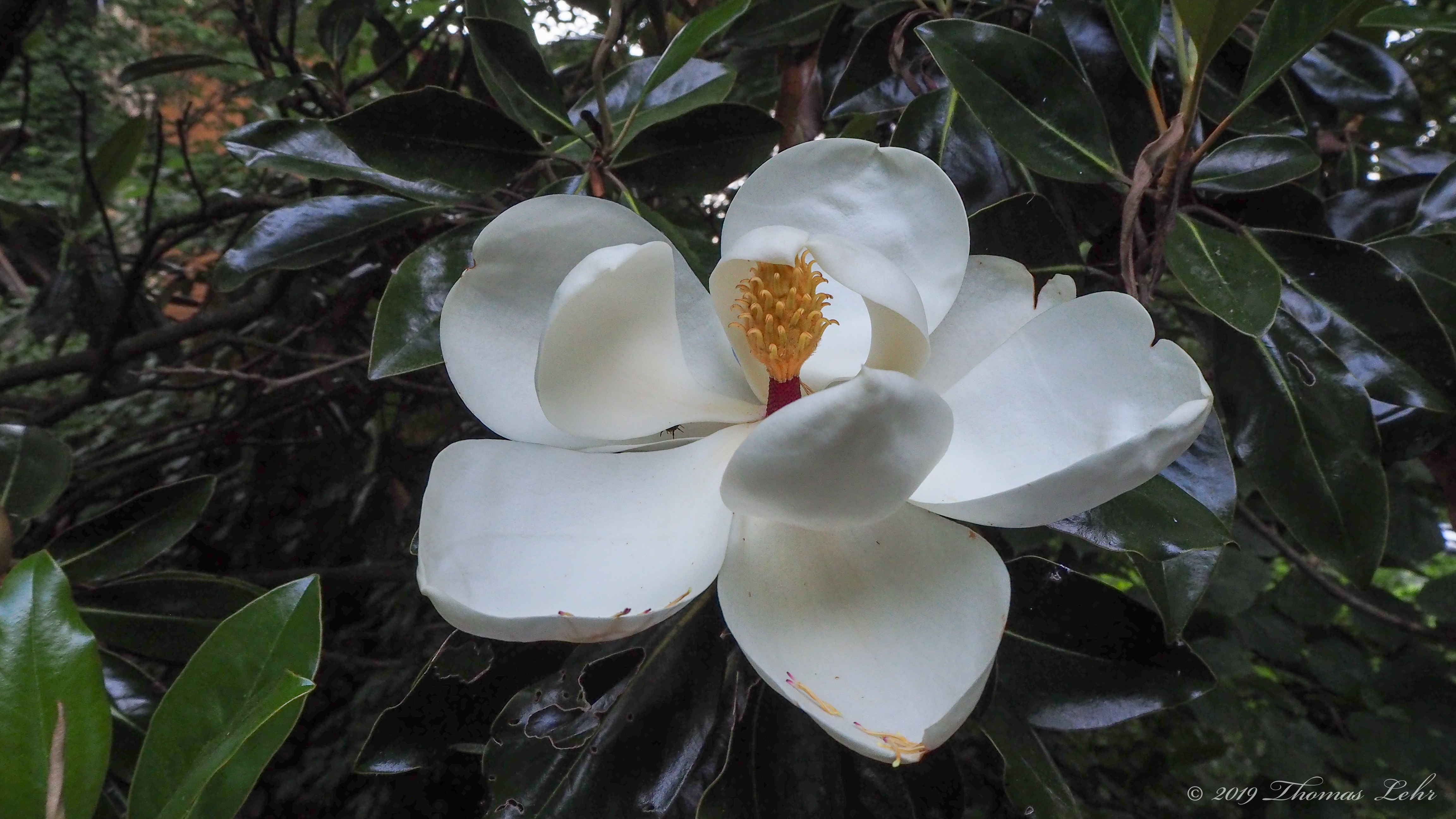 But half our life is