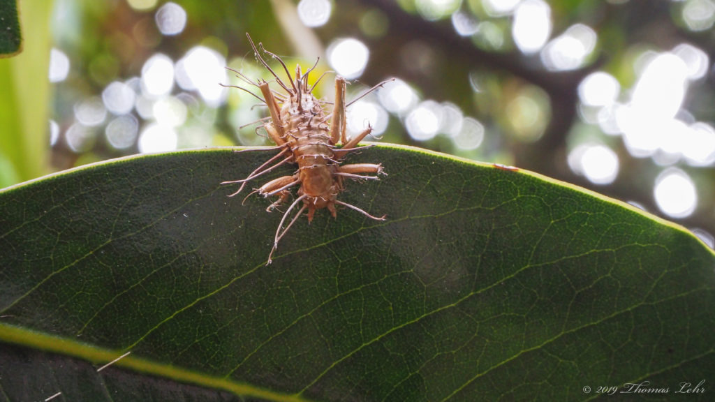 Do nothing. —Richard Eberhart