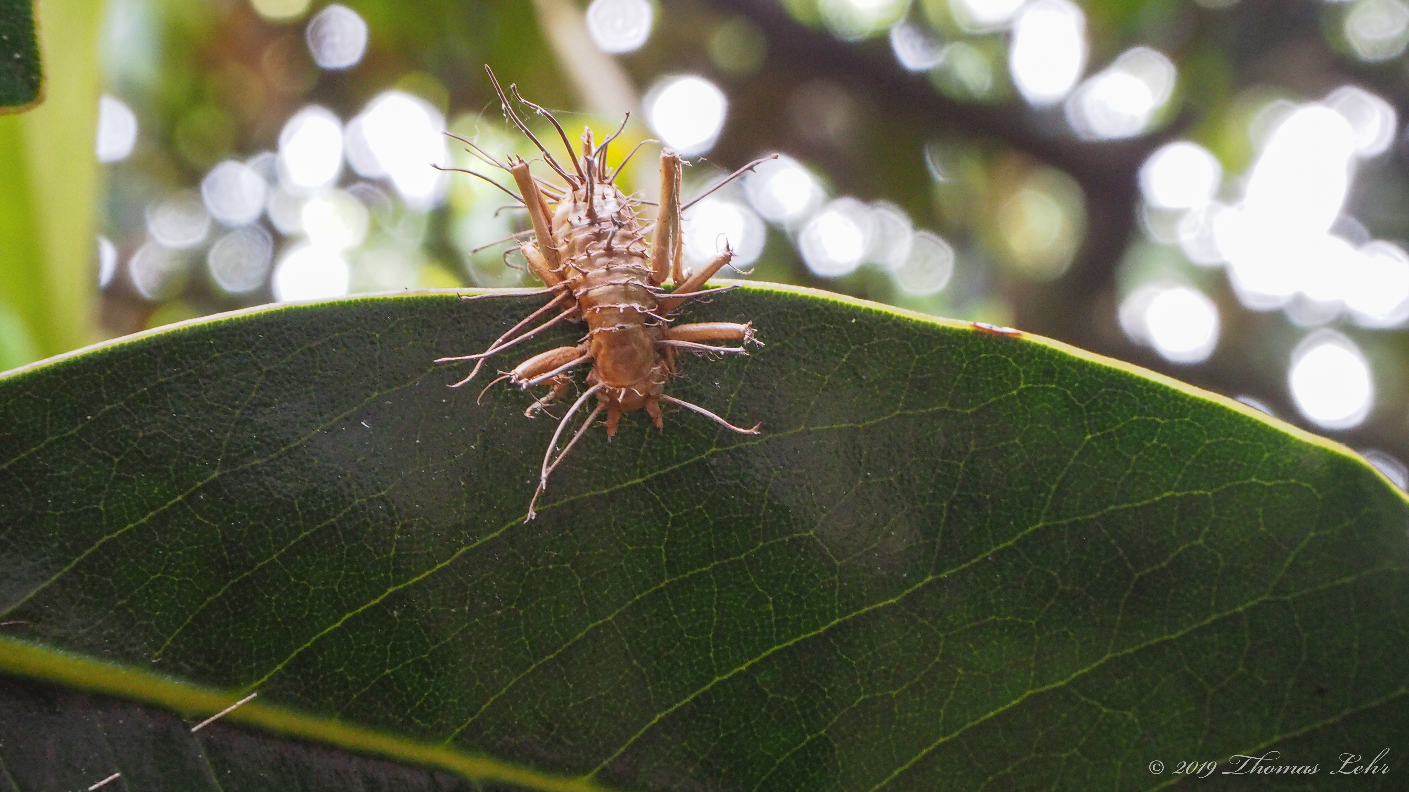 About which you can do nothing,