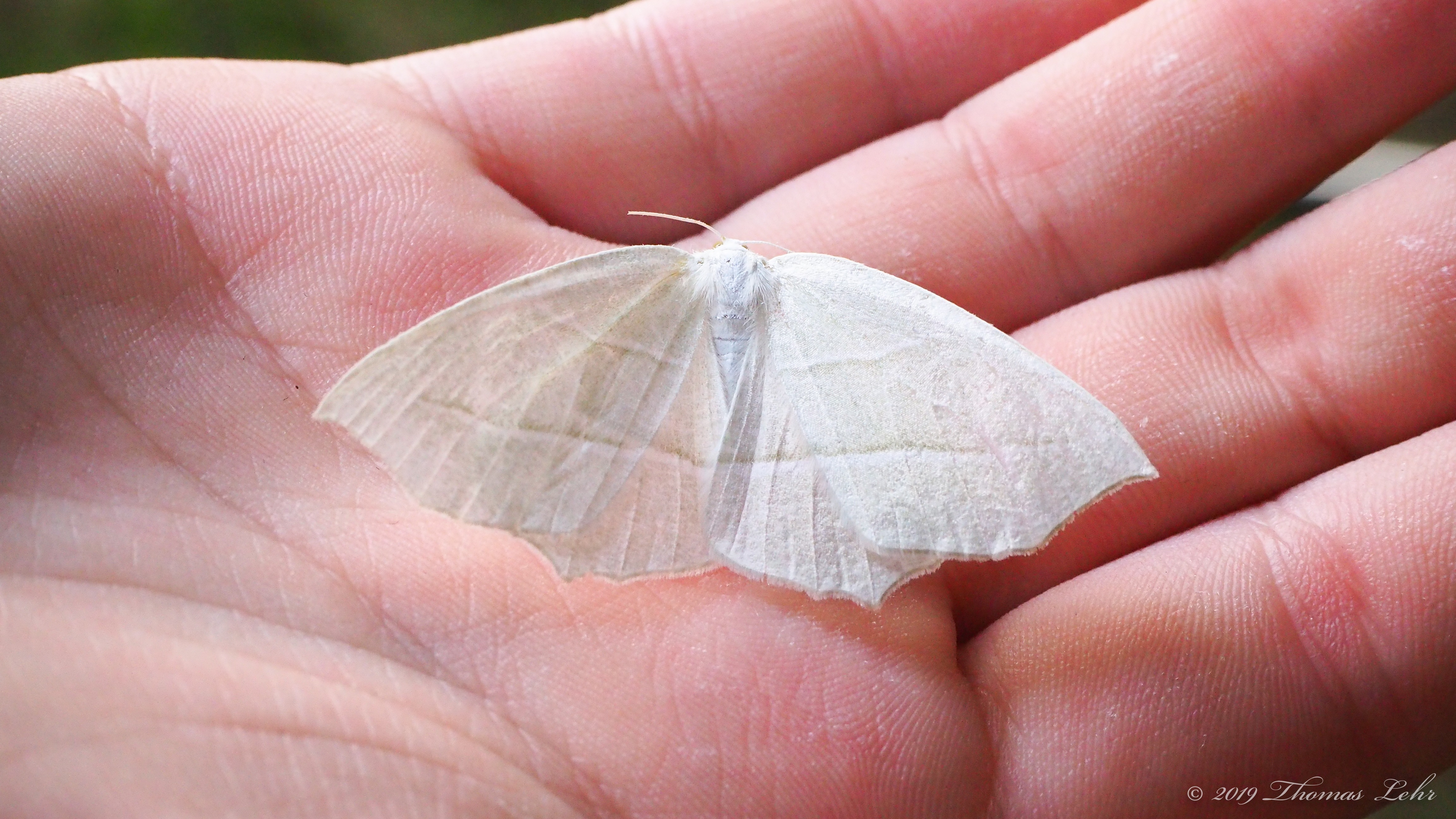 to hear it purr. I asked science is there a way