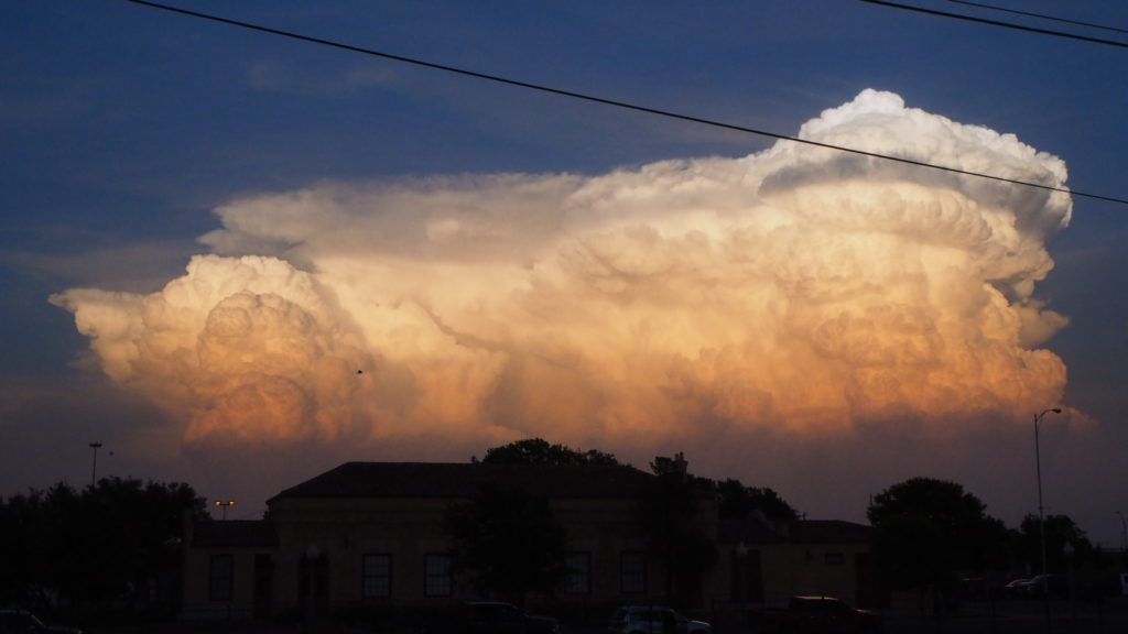 on our shoulders even now,
—Dorianne Laux