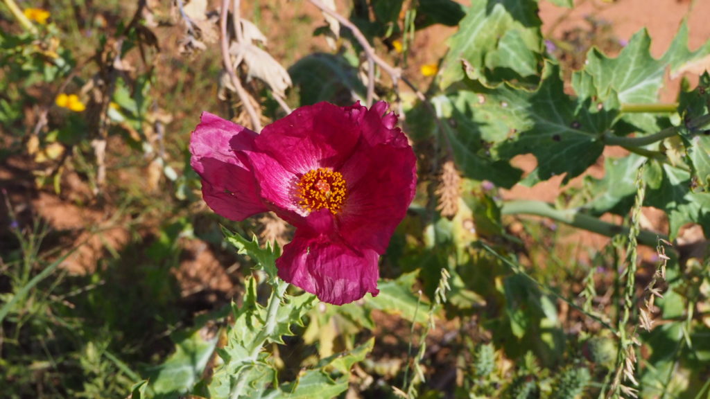 the light reaches us, falls