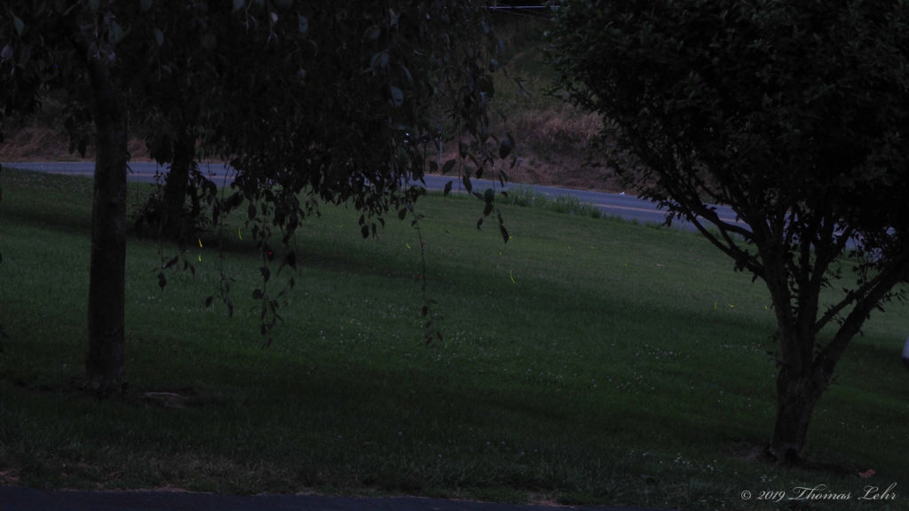 is over. You are the stranger