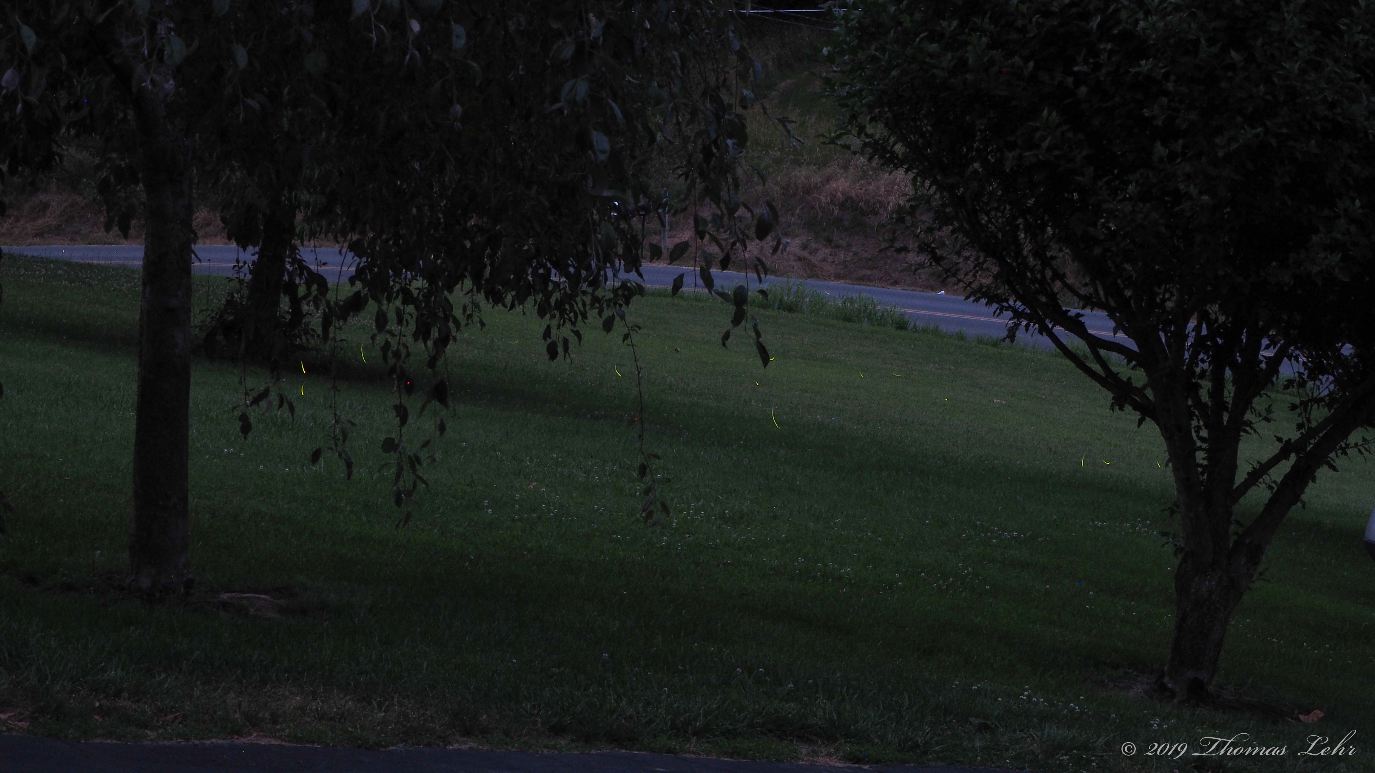 The longing to be pure