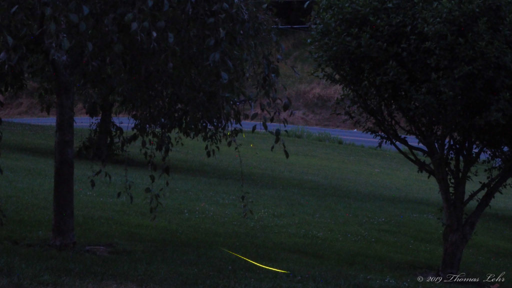 who gets stranger by the hour. —James Tate