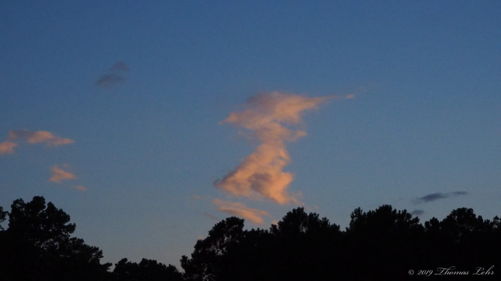 I try to understand the whooshing overhead. —Peter Gizzi