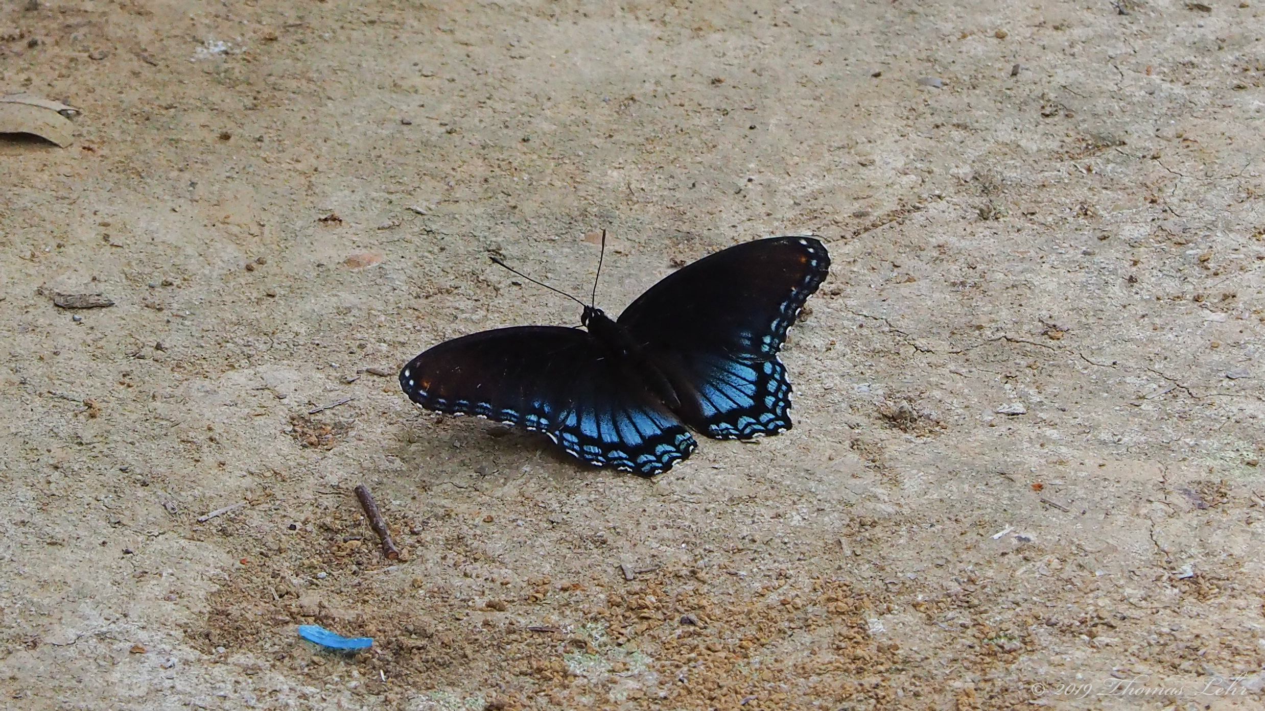 What are they called.