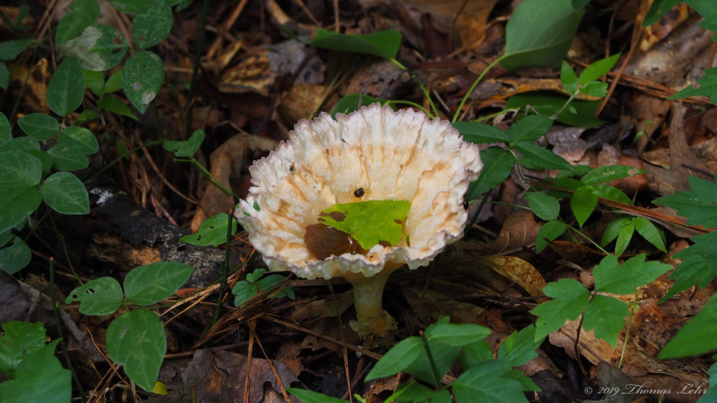 I’m going there, though,