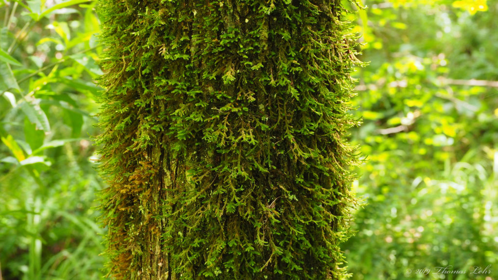 where they are— —Franz Wright