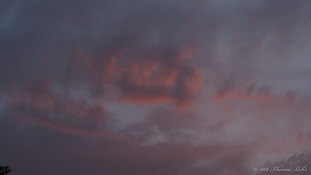 Was a bird; and the song was wordless; —Siegfried Sassoon